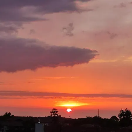 Pura Vida Appartement