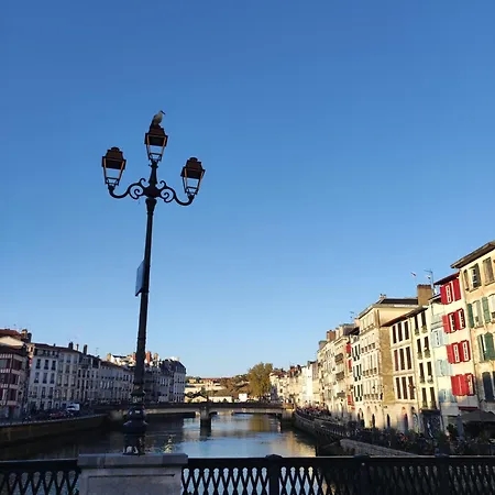Pura Vida Bayonne